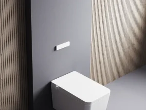 diferentes tipos de inodoros